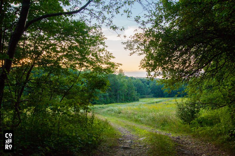 August Field photograph