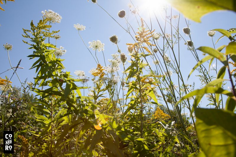 August Field photograph