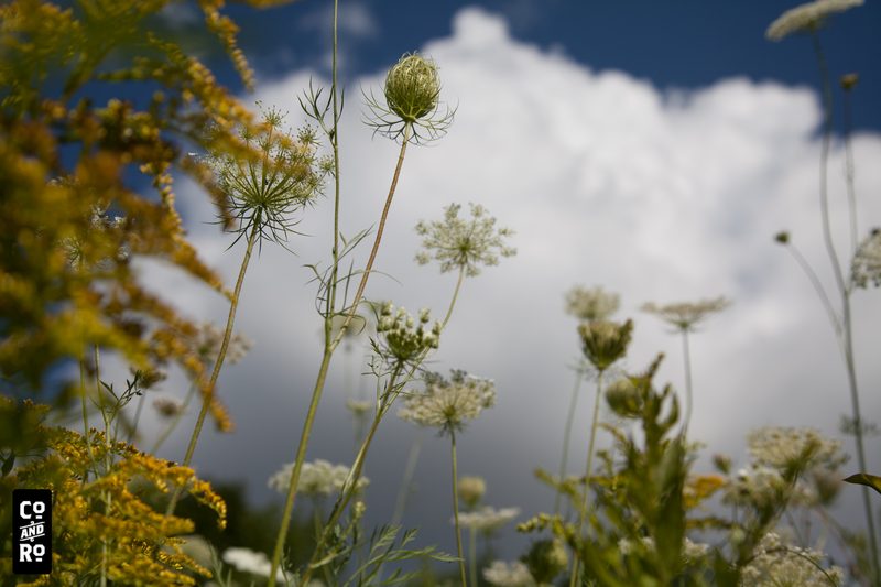 August Field photograph