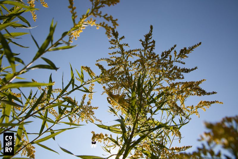 August Field photograph