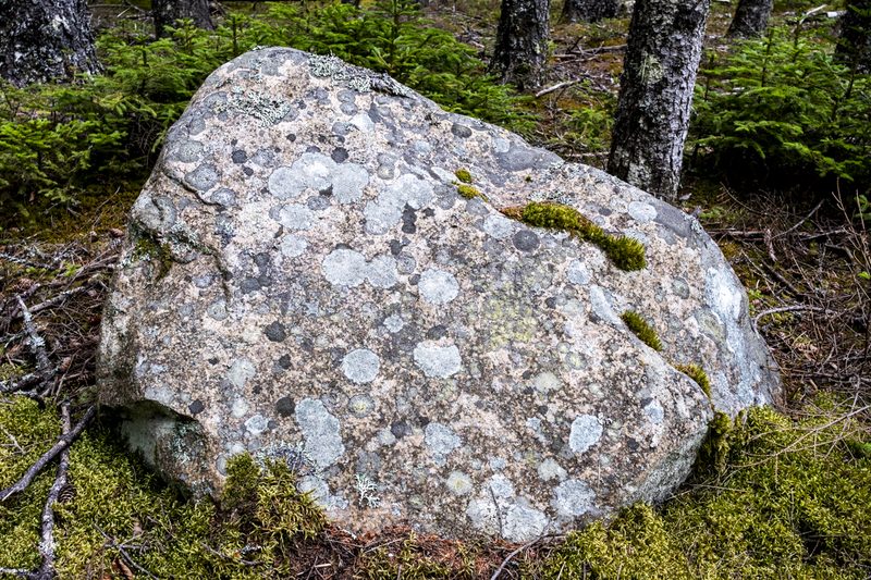 Gotts Island Maine photograph