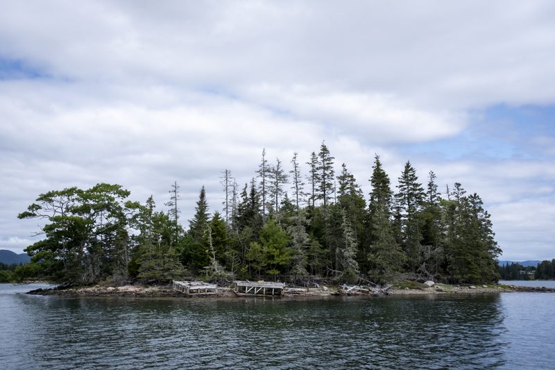 Gotts Island Maine photograph
