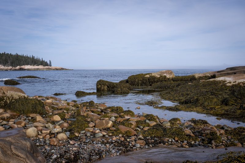 Gotts Island Maine photograph